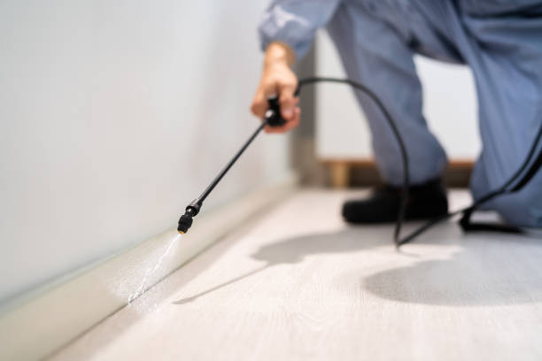 Licensed Pest Control service in Harvard, NE - Show Me Pest Control